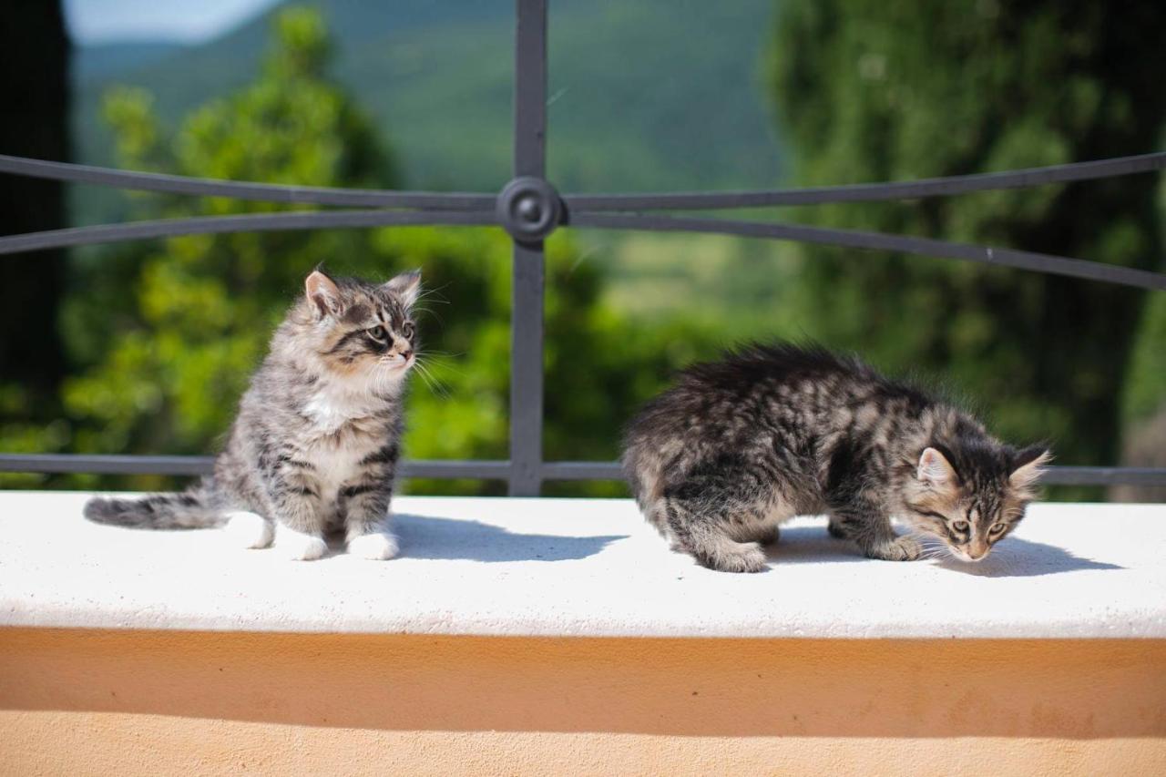 Borgo Incantato Spoleto Pompagnano Εξωτερικό φωτογραφία
