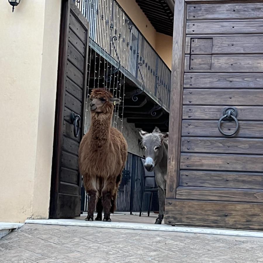 Borgo Incantato Spoleto Pompagnano Εξωτερικό φωτογραφία